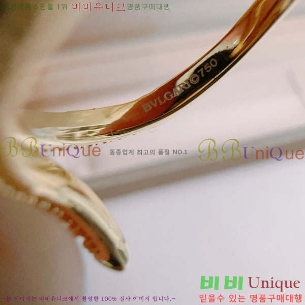 Ұ  BVLG08670-1