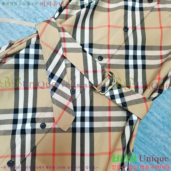  ǽ BU251177-5