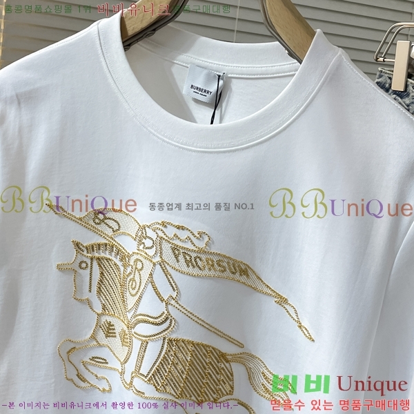    Ƽ B290161
