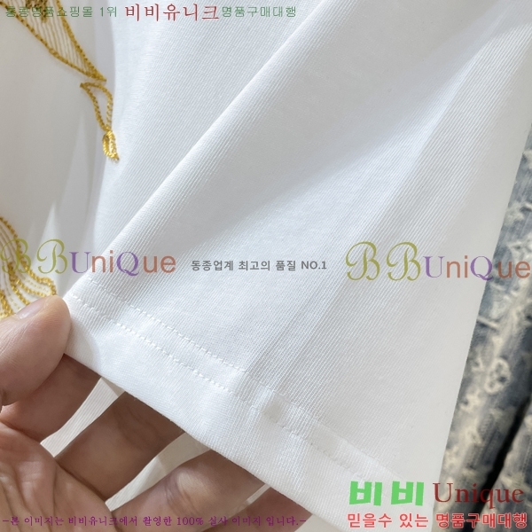    Ƽ B290161