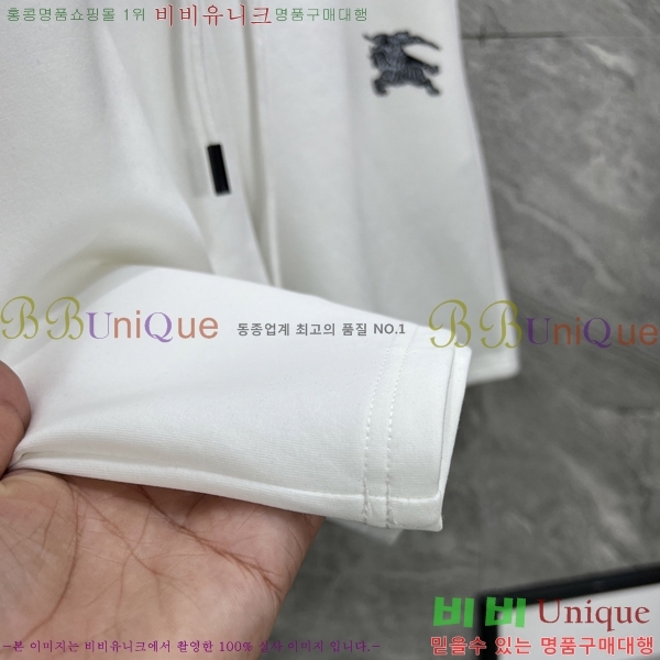   ݹ BU256399-2