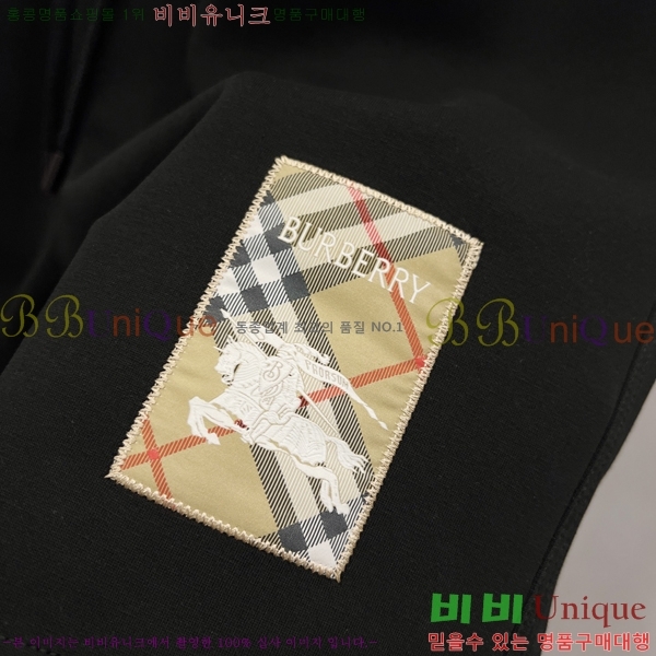   ݹ BU256395-1