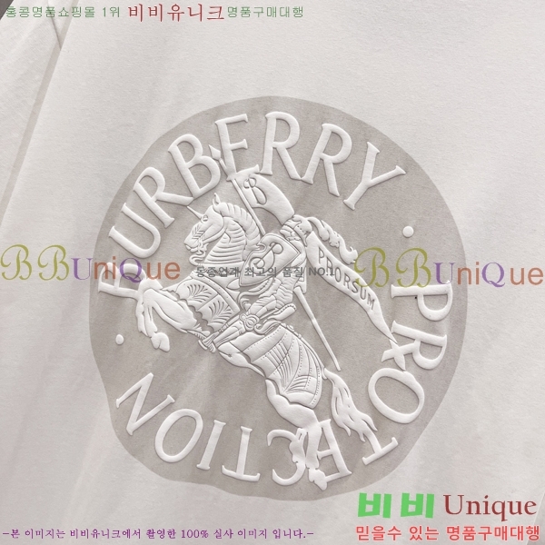    Ƽ B2901066-2