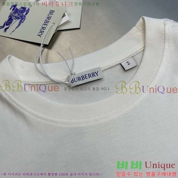    Ƽ B2901069