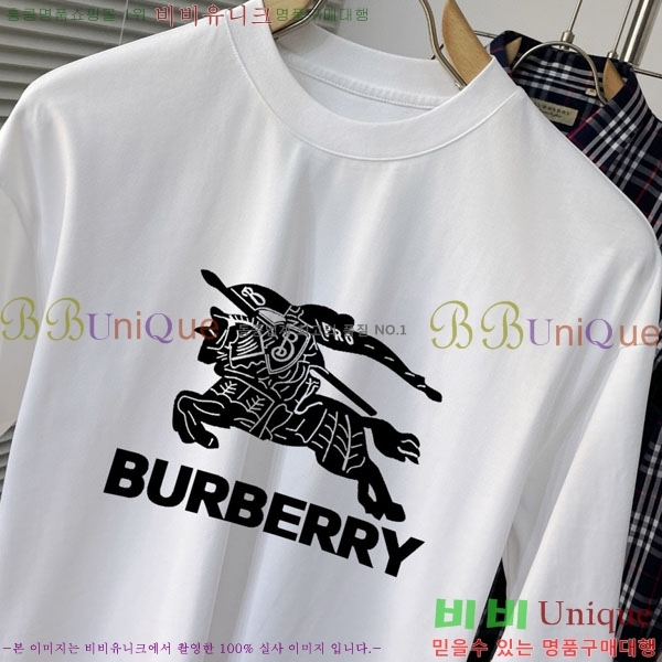    Ƽ BU256467-2