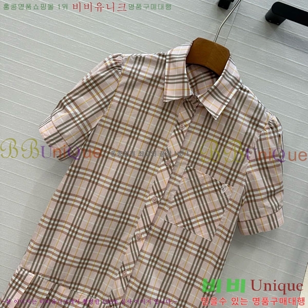  ǽ BUR2120313-1