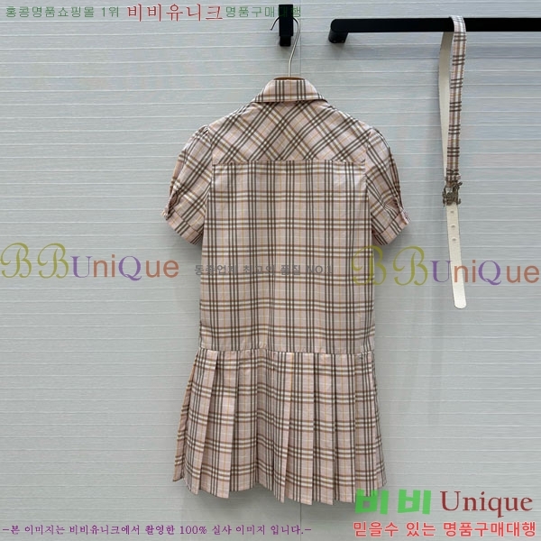   ǽ BUR2120313-1