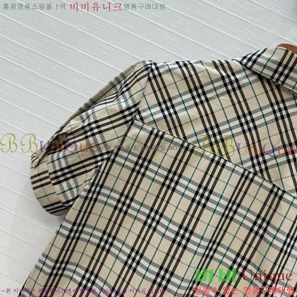  ǽ BUR2120313-2