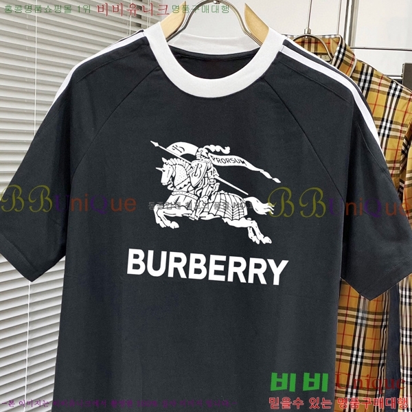    Ƽ BU256481-1