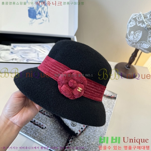 *  CH2520899-1