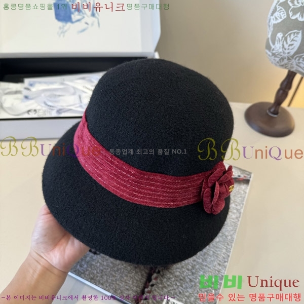 *  CH2520899-1