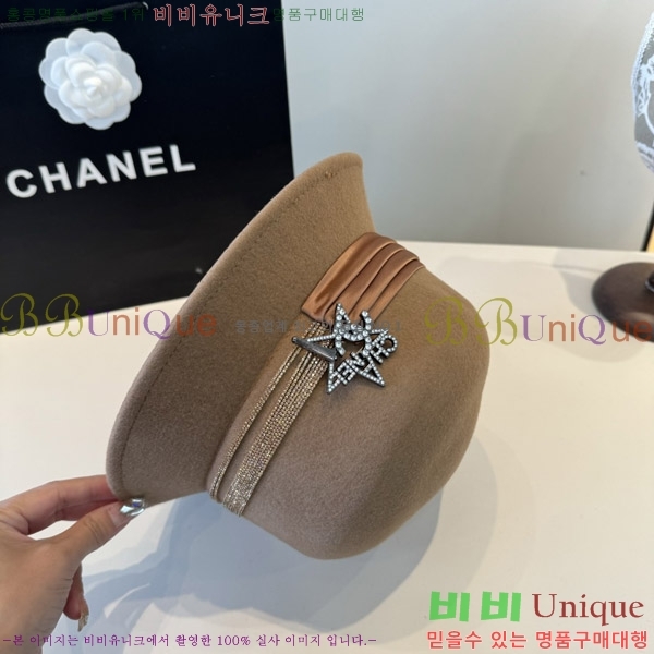 *  CH2520897-1