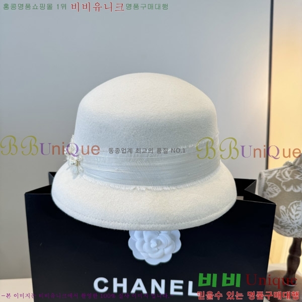 *  CH2520896-1
