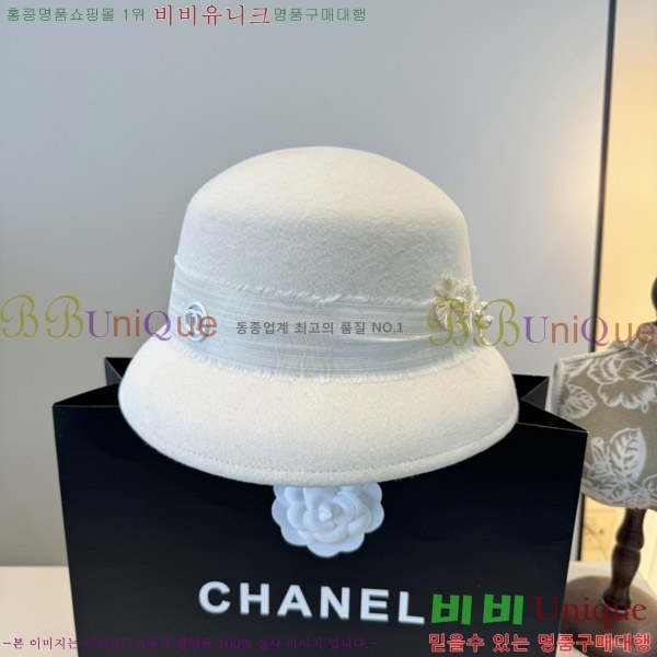 *  CH2520896-1