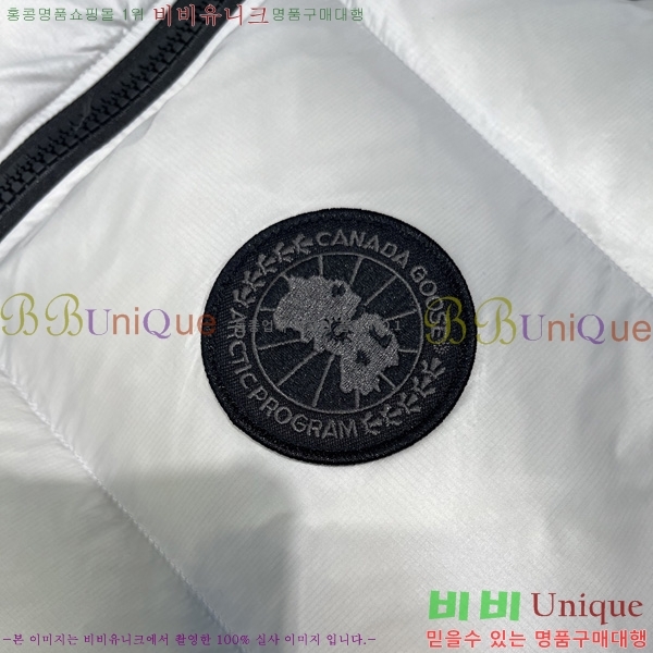  ĳٱ ٿ е  CAG53069-1