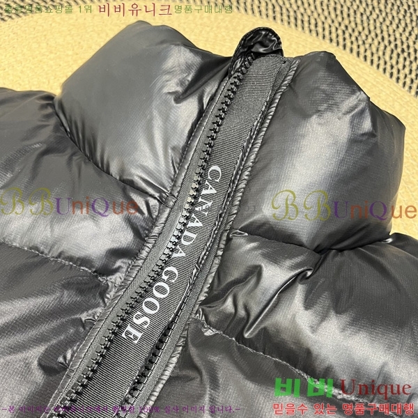  ĳٱ ٿ е  CAG53069-3