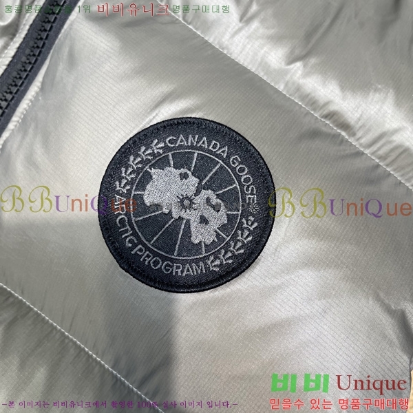  ĳٱ ٿ е  CAG53069-4