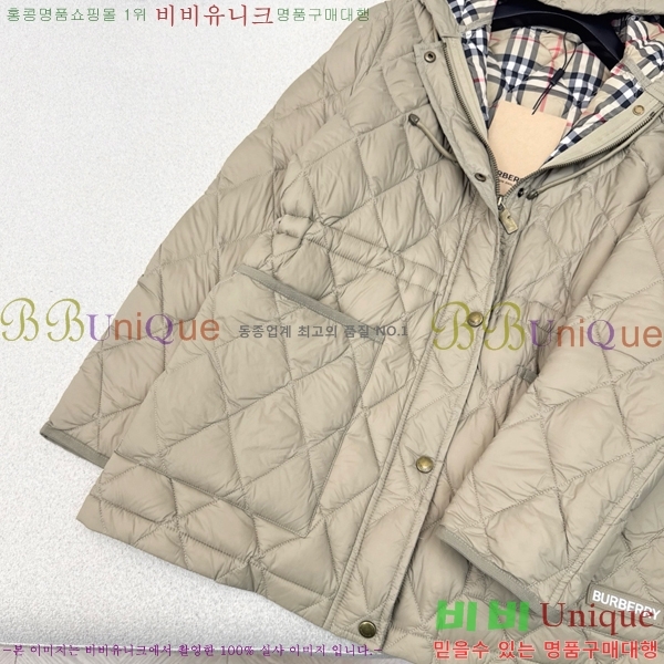  ٿ е BU23879-2