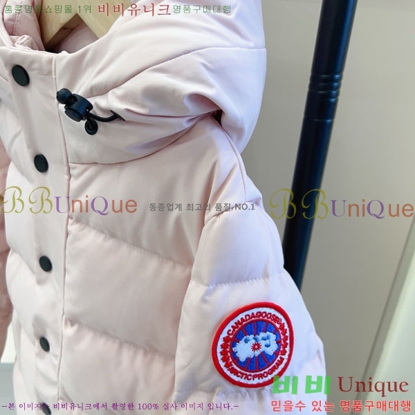 Ű ĳٱ ٿ е CN3681634