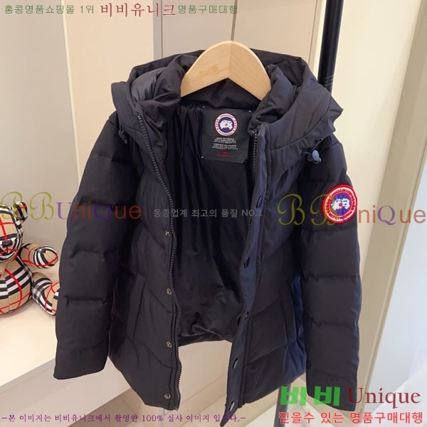 Ű ĳٱ ٿ е CN3681634