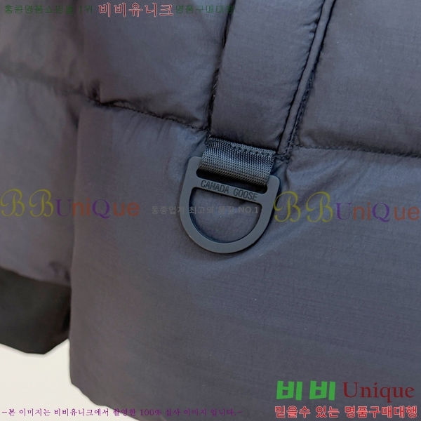  ĳٱ ٿ е CAG215558-2