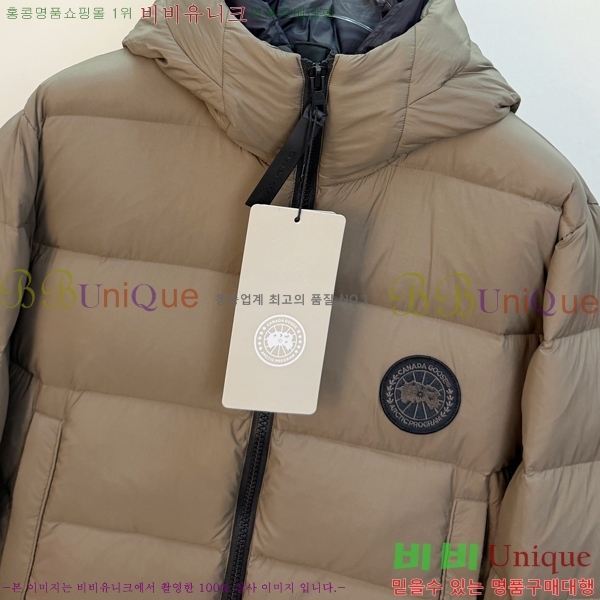  ĳٱ ٿ е CAG215558-1