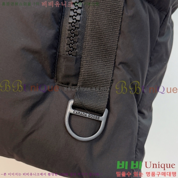  ĳٱ ٿ е CAG215556-1