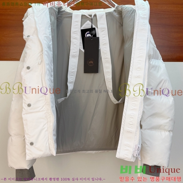  ĳٱ ٿ е CAG215556-2